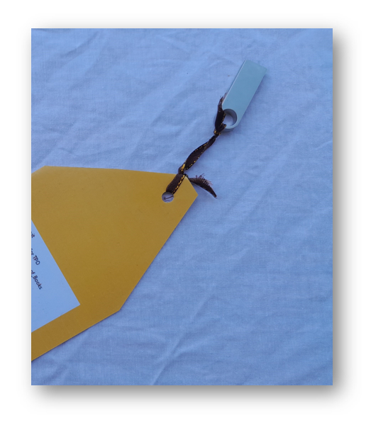 Plato's Republic Project, USB Flash Drive and Introduction, Item 29